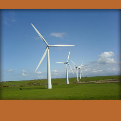 wind tubine farm, grass field, turbine are white with three blades and probably 50 meters hight